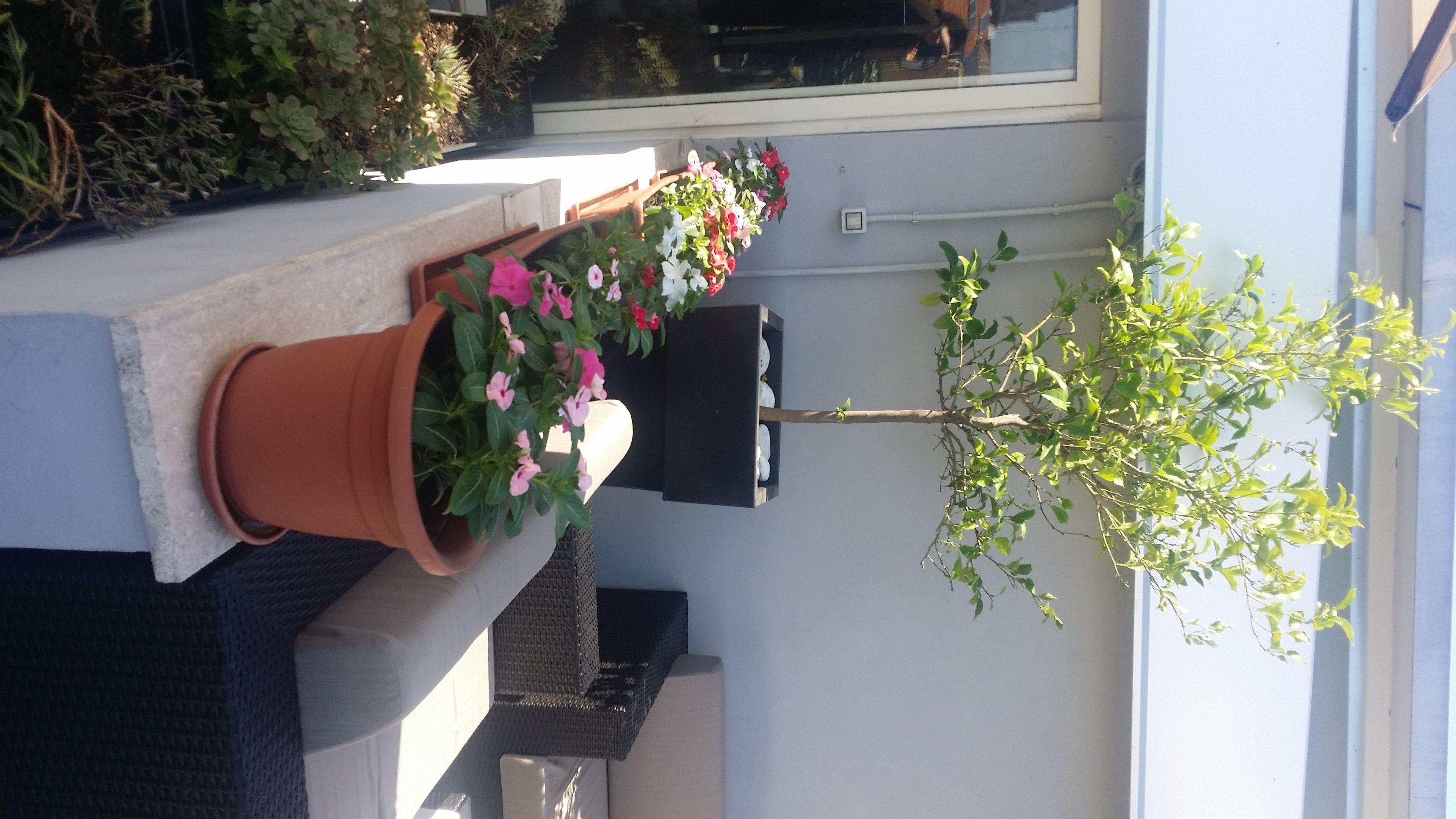 Hotel Gravina San Pietro — Foto 3